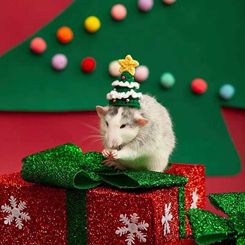 Hand Woven Pet Christmas Hat D - Santa Hat Plush ulasan dan harga