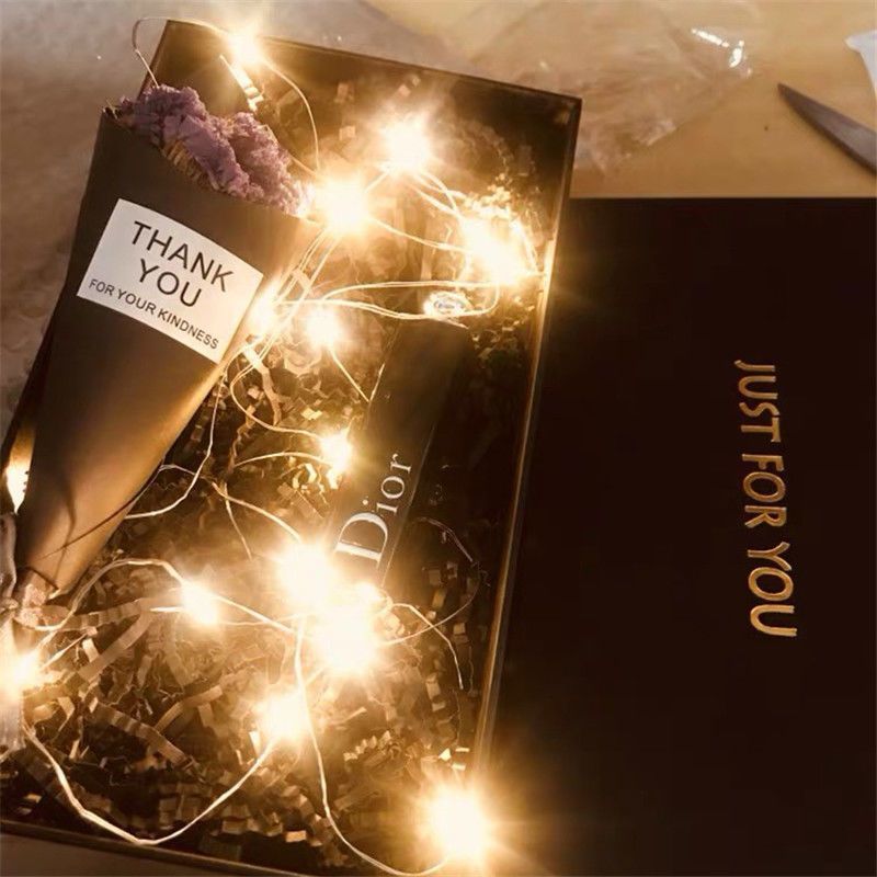 2M-30M LED String Lights USB C - Led Fairy String Lights ulasan dan harga